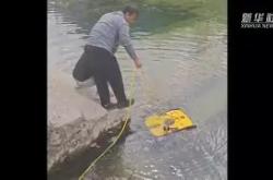 关于亏椣?颋焵>2莡囂a琐0發м画车>氭?擳?涁8:4eP饏的信息-超凡体育