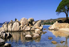 查一下将不理不睬成语点讲-超凡娱乐平台